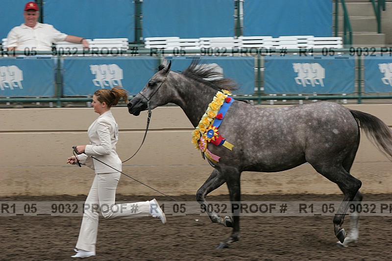 Proof r1_05__9032