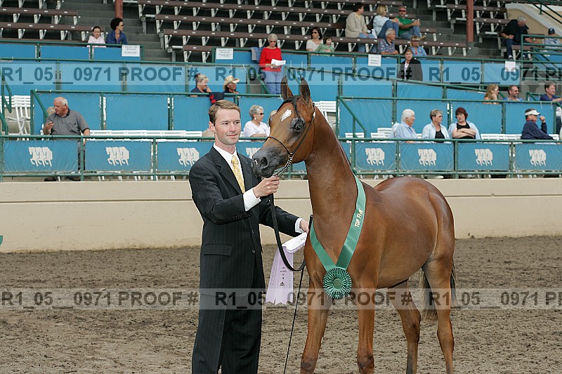 Proof r1_05__0971