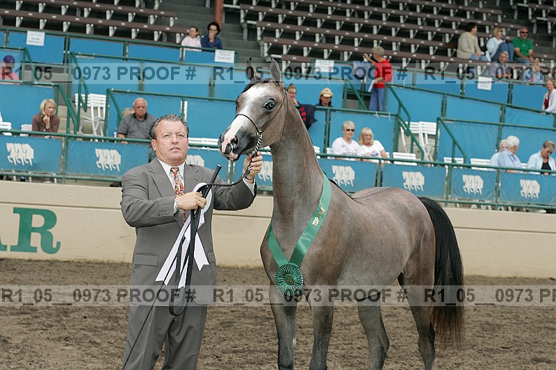 Proof r1_05__0973