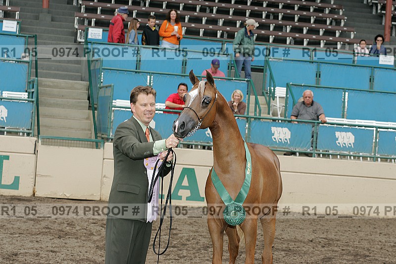 Proof r1_05__0974