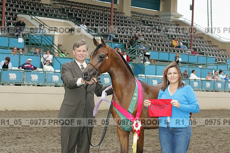 Proof r1_05__0975