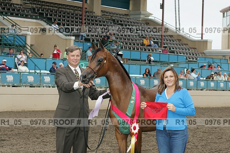 Proof r1_05__0976
