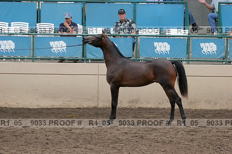 Proof r1_05__9033