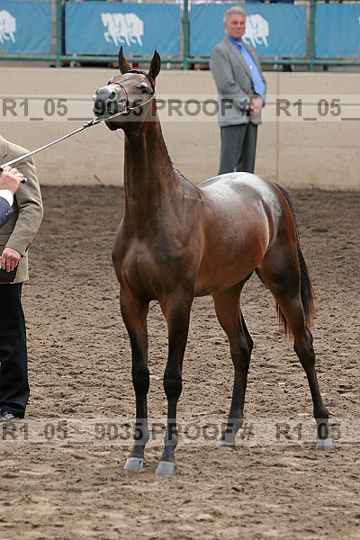 Proof r1_05__9035