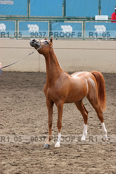 Proof r1_05__9037