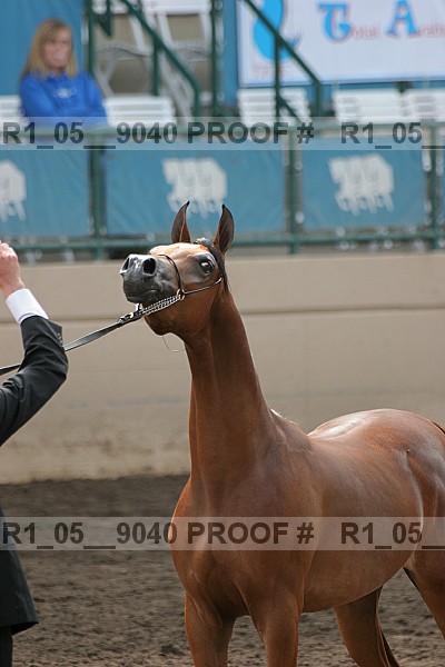 Proof r1_05__9040