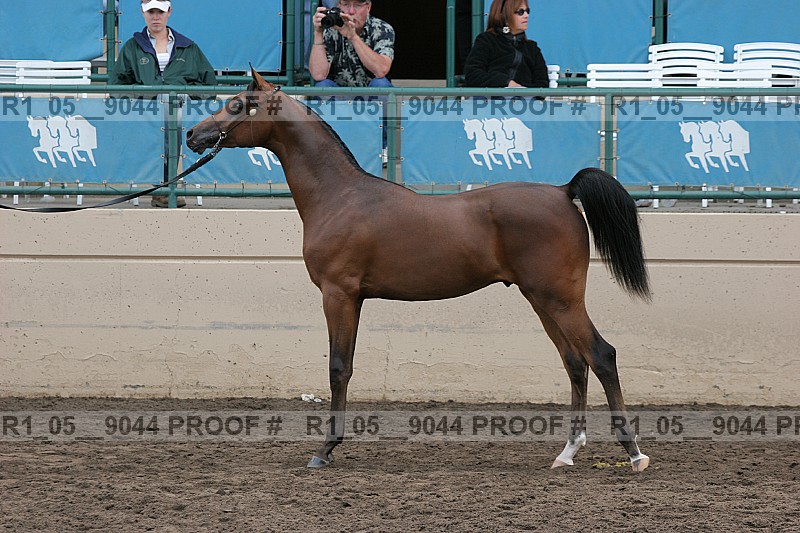 Proof r1_05__9044
