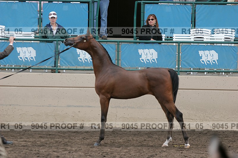 Proof r1_05__9045