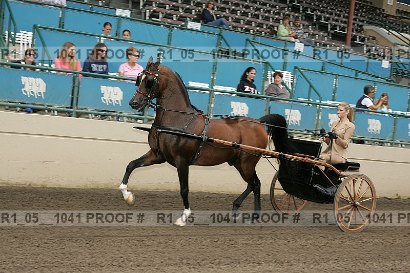 Proof r1_05__1041