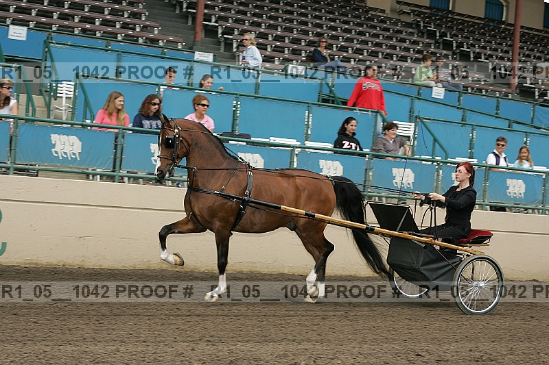 Proof r1_05__1042