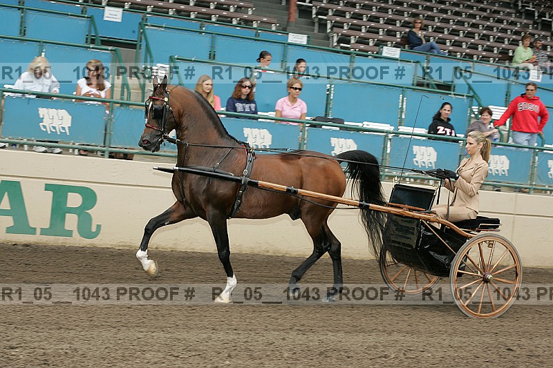 Proof r1_05__1043