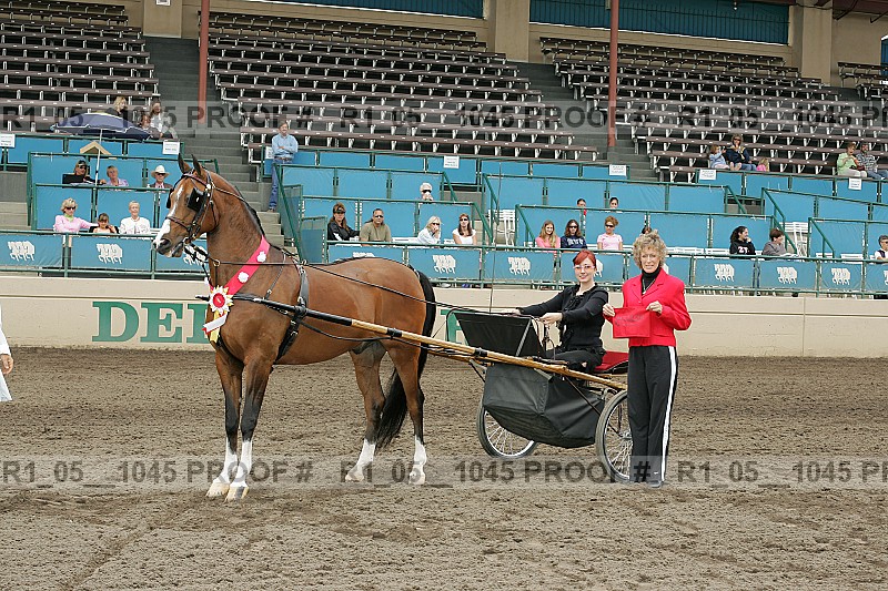 Proof r1_05__1045