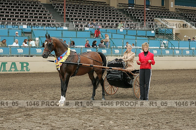 Proof r1_05__1046