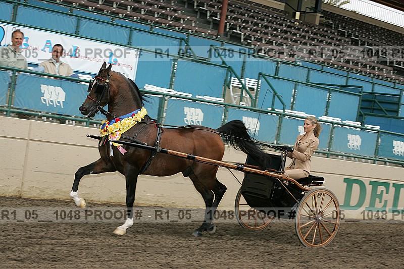 Proof r1_05__1048