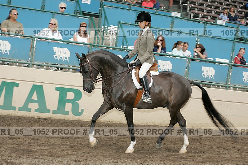 Proof r1_05__1052