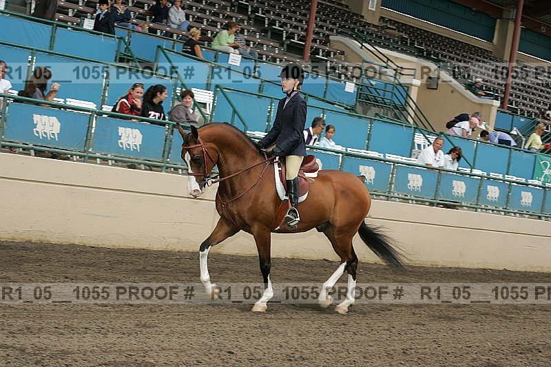 Proof r1_05__1055