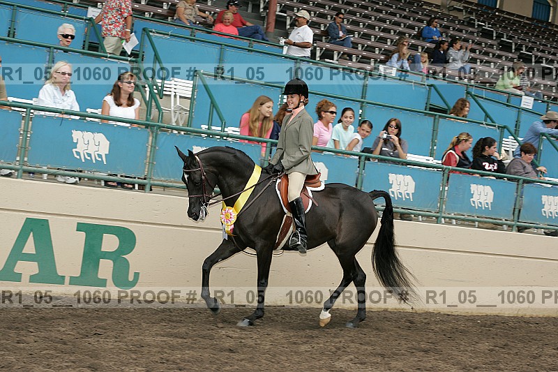 Proof r1_05__1060