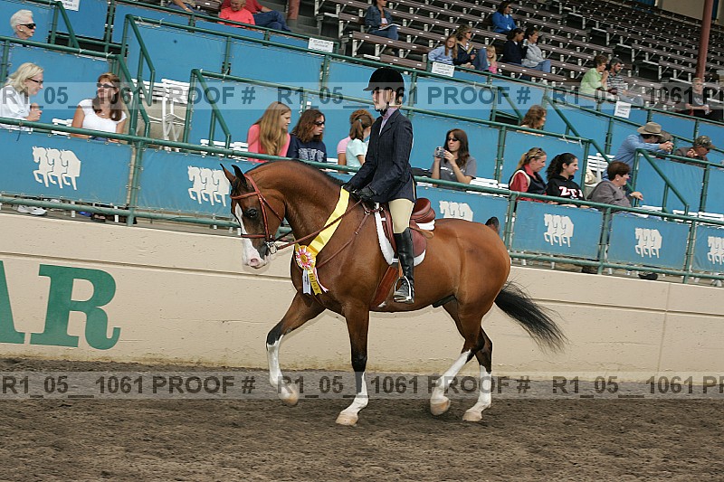 Proof r1_05__1061