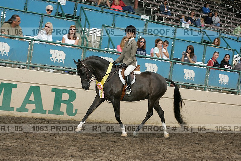 Proof r1_05__1063