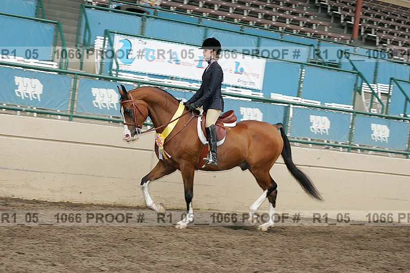 Proof r1_05__1066