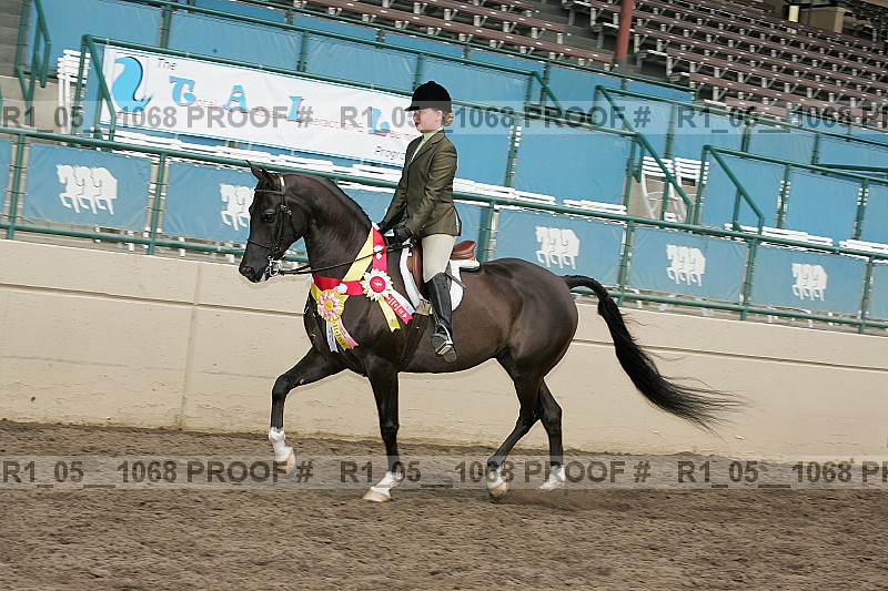 Proof r1_05__1068