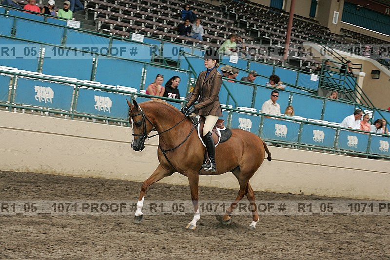 Proof r1_05__1071