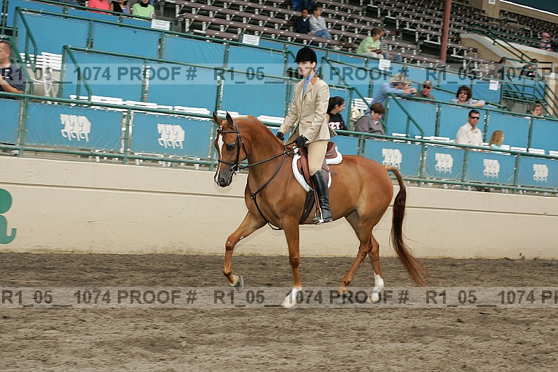Proof r1_05__1074