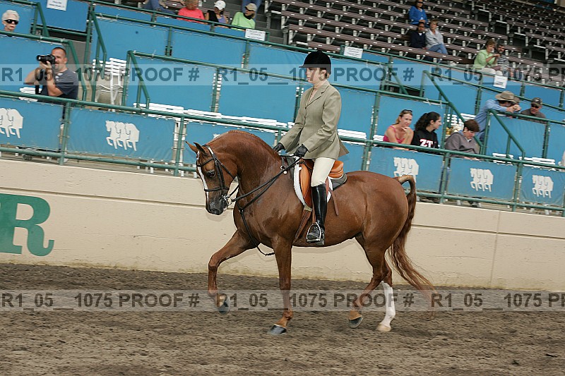 Proof r1_05__1075