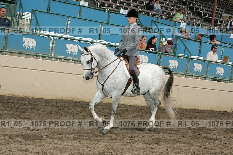 Proof r1_05__1076