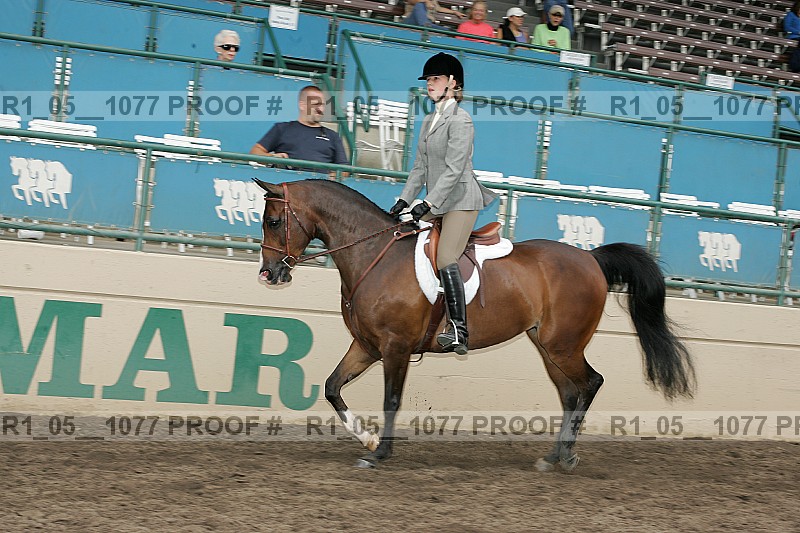 Proof r1_05__1077