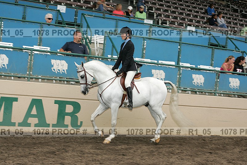 Proof r1_05__1078