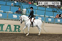 r1_05__1078 proof