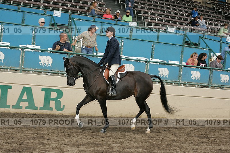 Proof r1_05__1079