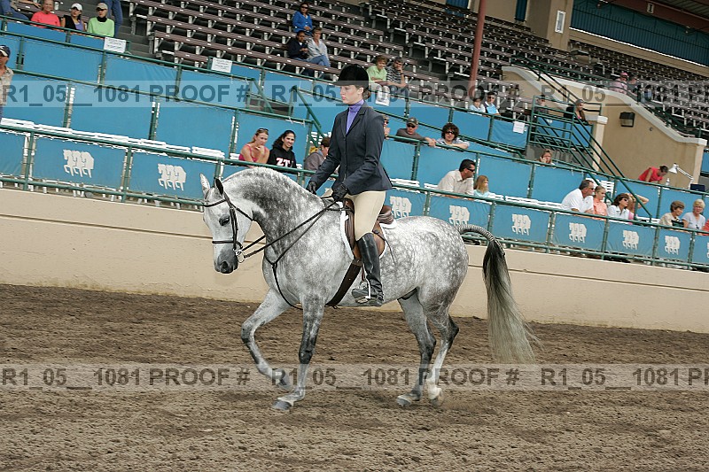 Proof r1_05__1081