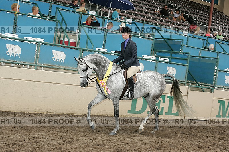 Proof r1_05__1084