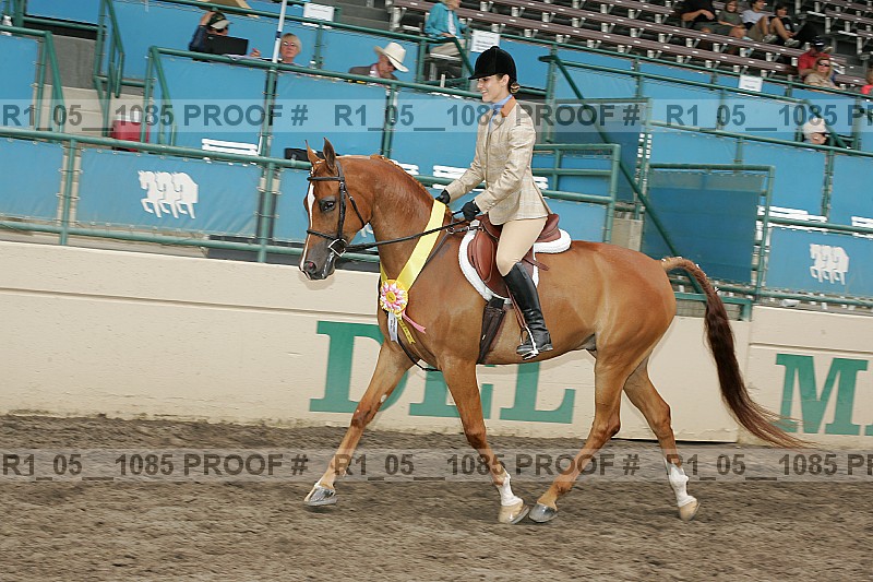 Proof r1_05__1085
