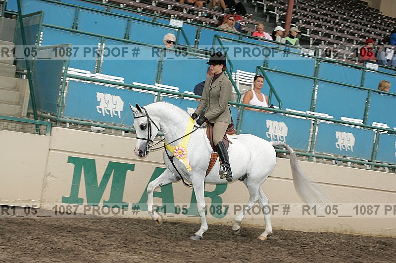 Proof r1_05__1087