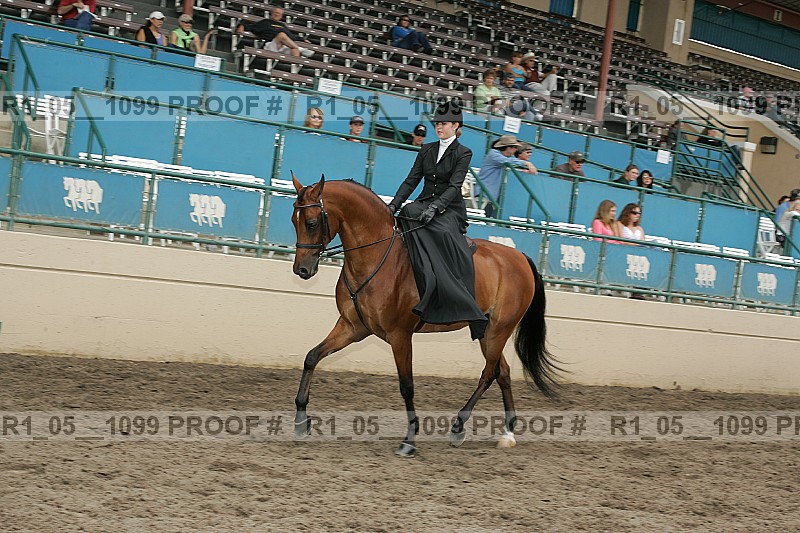 Proof r1_05__1099