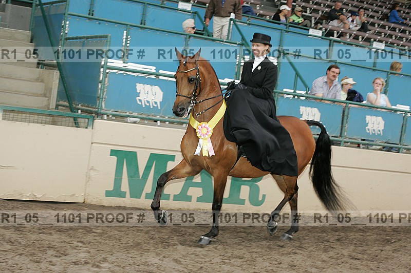 Proof r1_05__1101