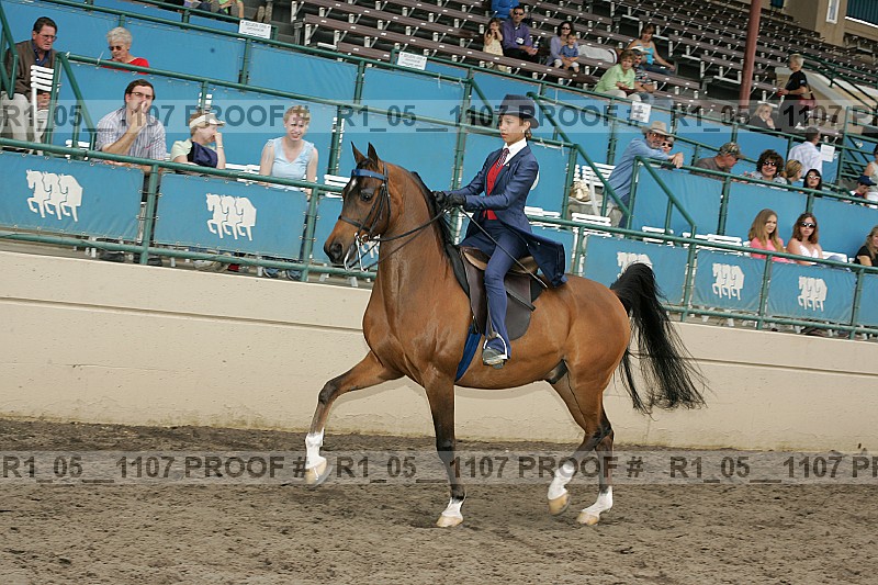 Proof r1_05__1107