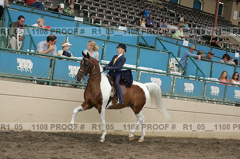 Proof r1_05__1108