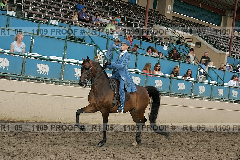 Proof r1_05__1109