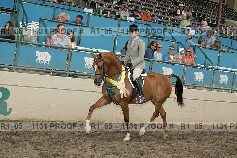 Proof r1_05__1131