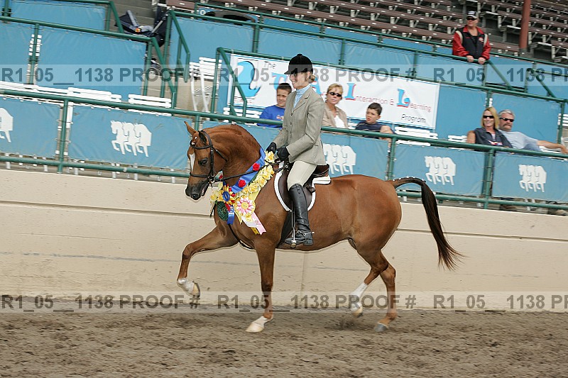 Proof r1_05__1138