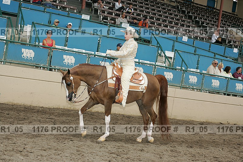 Proof r1_05__1176