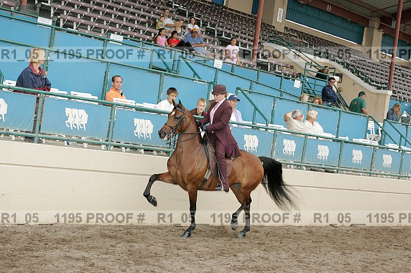 Proof r1_05__1195