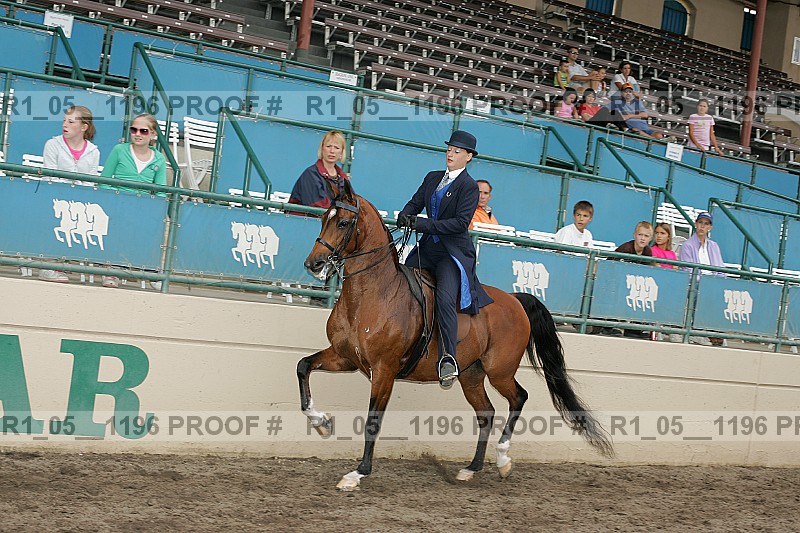 Proof r1_05__1196