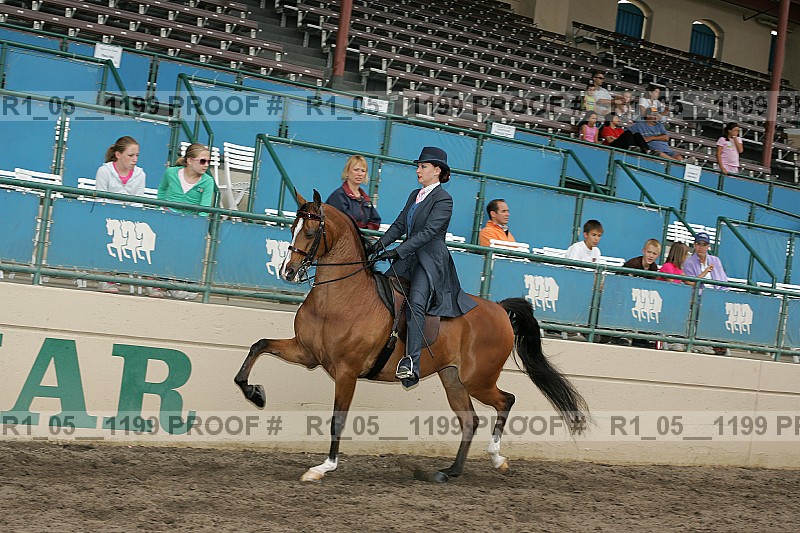 Proof r1_05__1199