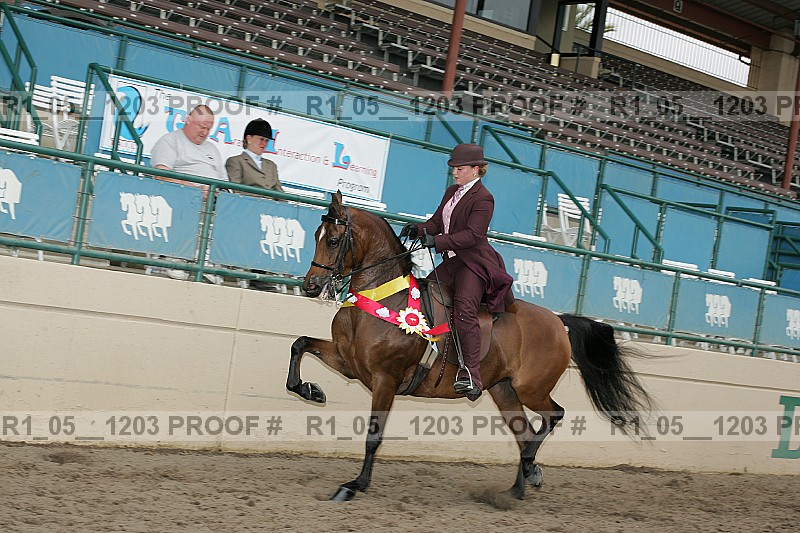 Proof r1_05__1203