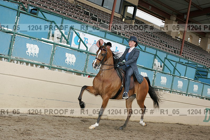 Proof r1_05__1204